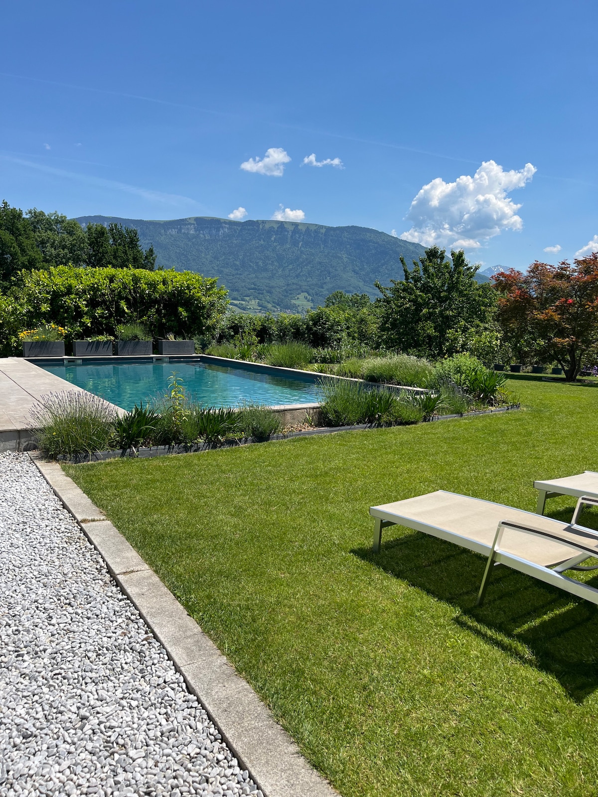 Suite Ailes d’Azur — photo 4